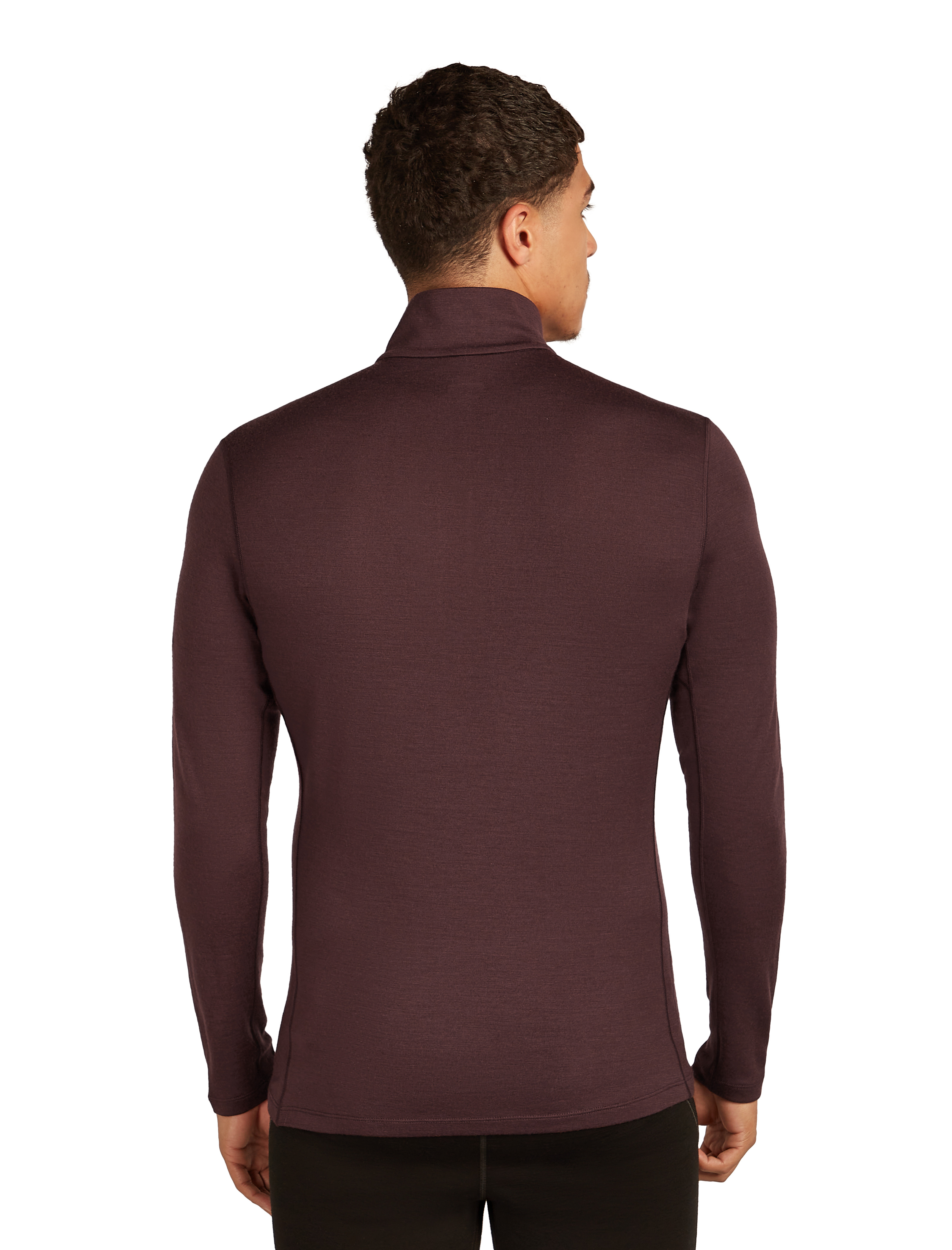 Icebreaker M 260 Tech LS Half Zip Wollpullover java S - Transa.ch